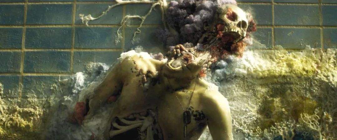 包含免费24小时自助下单平台网站-全网最便宜的刷平台-起死人肉白骨的词条