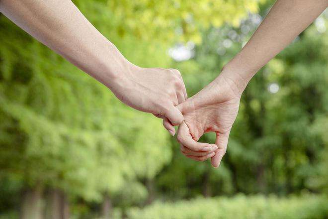 Discuz论坛通用自动顶贴机下载Discuz论坛通用自动顶贴机v1.0免费绿色吾爱专版下载-脚本之家的简单介绍