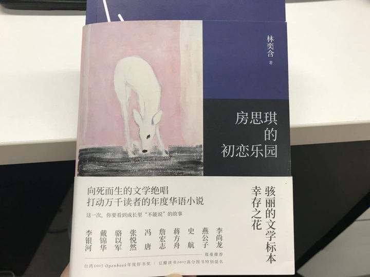 包含《房思琪的初恋乐园》的词条