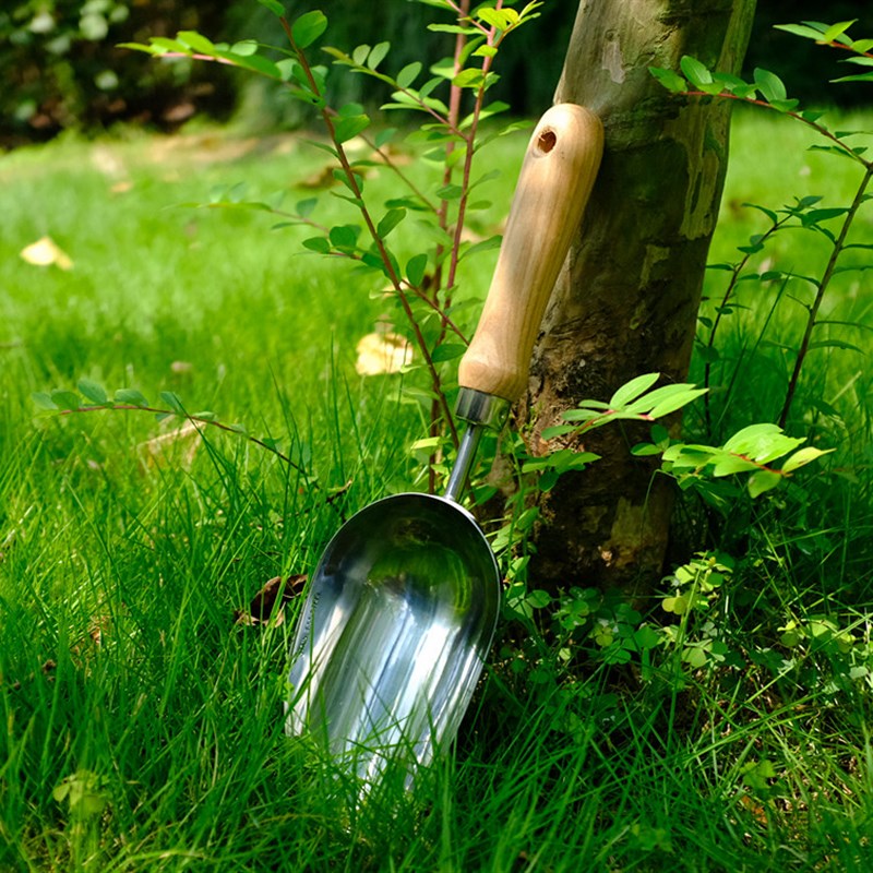 qq代刷平台工具|土豪QQ代刷网自助下单软件v1.0版（暂未上线）-软件详情页_JZ5U绿色下载站的简单介绍