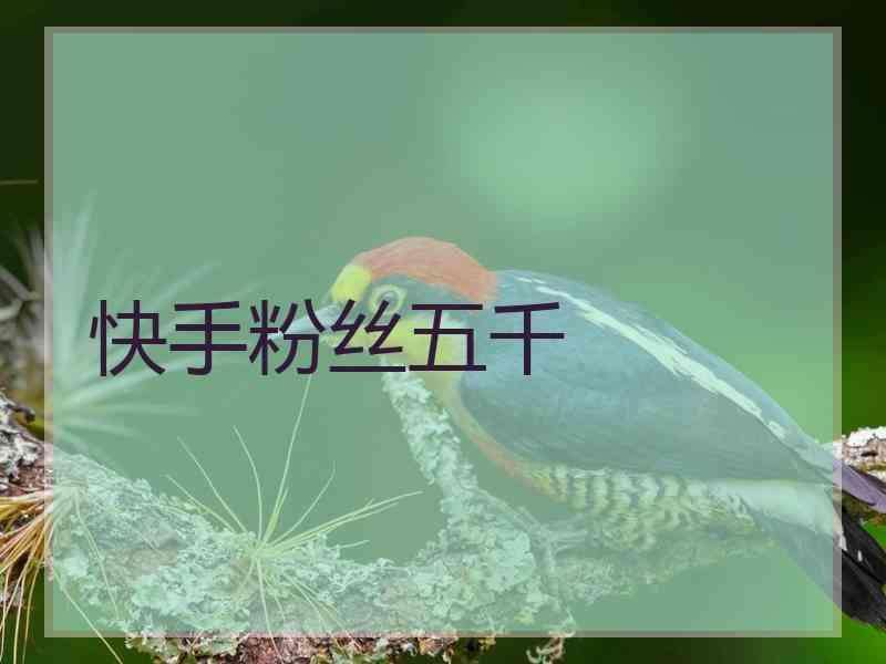 卡盟后台地址大全-卡盟后台地址大全-抖音快手刷点赞推广的文案,0.1元一万赞平台快手的简单介绍