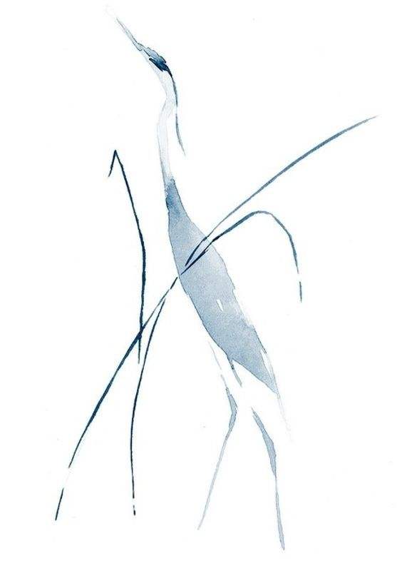 包含目录--国风中文网的词条