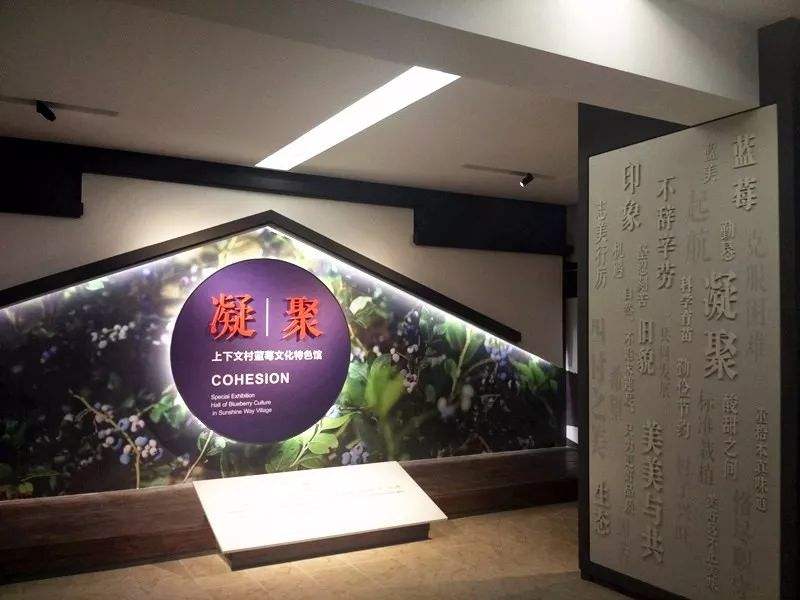 【文化绍兴·幸福文艺】吕国钢：心有猛虎，细嗅蔷薇的简单介绍