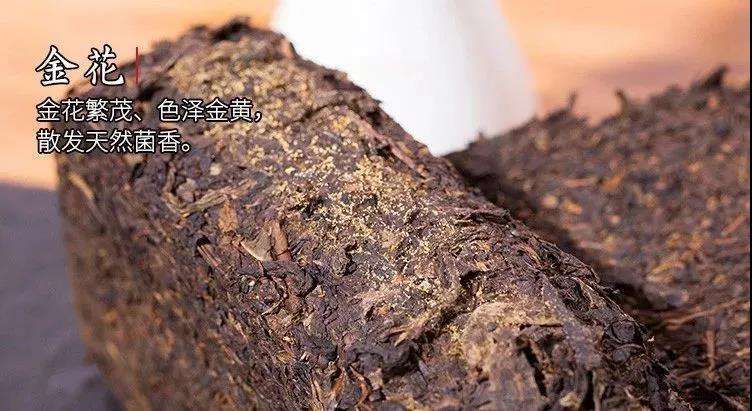 包含安化黑茶有什么独到之处？　　？-五毛钱晚饭的回答-头条问答的词条