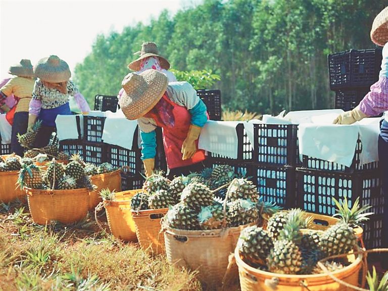 包含免费刷双击一元100个_超低价快手业务自助下单平台_qq一元十万名片赞的词条