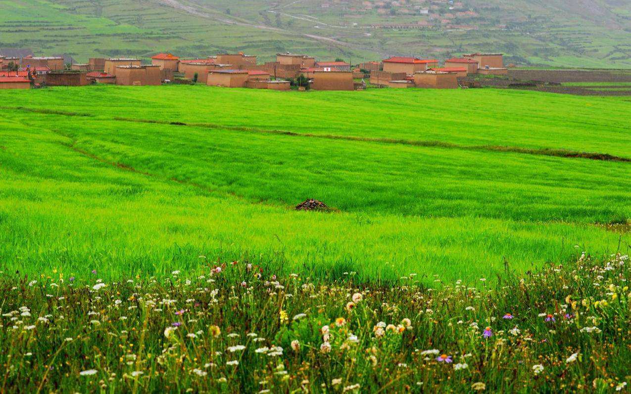 卡盟快手粉丝最低价-1元涨100粉,免费领取9999名片赞的网址的简单介绍