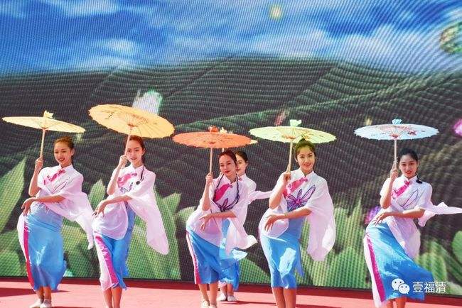 【玉融名片】五一游福清，让我们一起放空东张岚湖山_农业的简单介绍