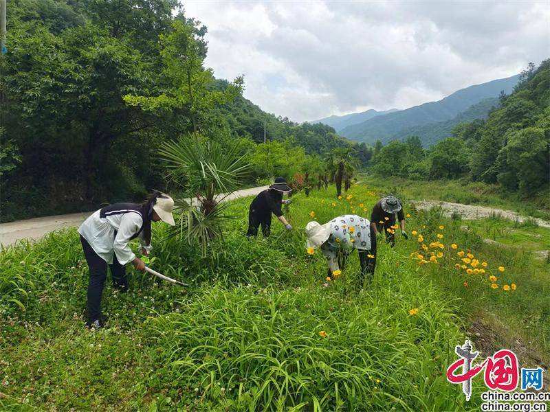 天龙QQ空间互赞软件(qq空间自动赞)V1.02绿色版软件下载-绿色先锋下载-绿色软件下载站的简单介绍 天龙QQ空间互赞软件(qq空间自动赞)V1.02绿色版软件下载-绿色先锋下载-绿色软件下载站的简单介绍