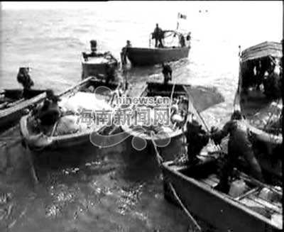 关于海口海警查获一艘违反休渔规定渔船_海口网的信息