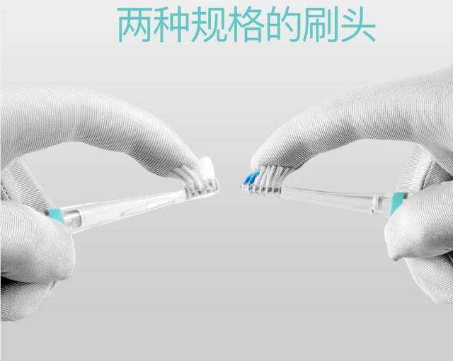 这款白菜价电动牙刷，千元配置，性价比爆炸了！_牙齿的简单介绍
