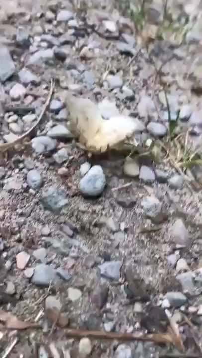 抽屉新热榜-聚合每日热门、搞笑、有趣资讯的简单介绍