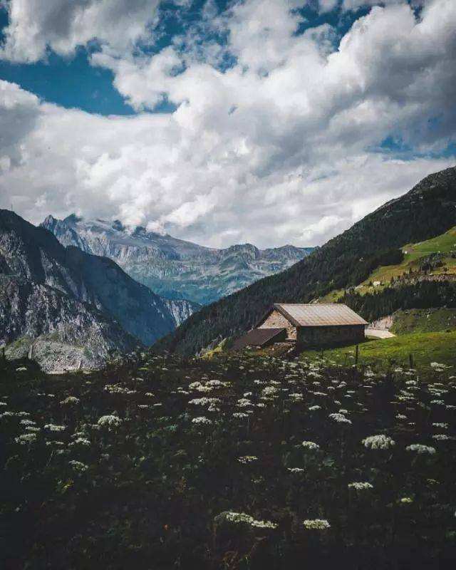 佛语禅心句子发朋友圈赞声一片!的简单介绍