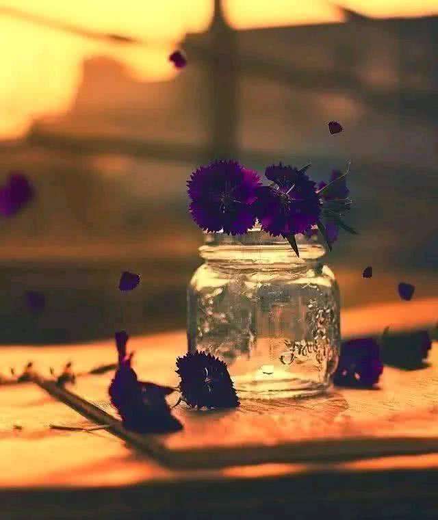 佛语禅心句子发朋友圈赞声一片!的简单介绍