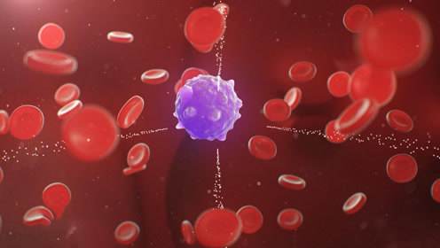 知乎10＋万赞：得了癌症是一种怎样的经历？|白血病|血小板|骨穿|治疗_网易订阅的简单介绍