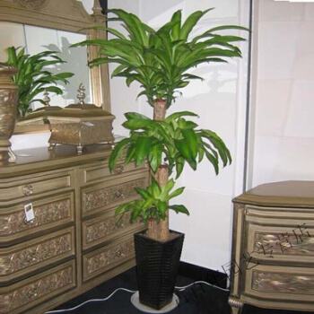 顶顶大名9.86-顶顶大名顶贴机下载v9.86绿色版-绿色资源网的简单介绍 顶顶大名9.86-顶顶大名顶贴机下载v9.86绿色版-绿色资源网的简单介绍