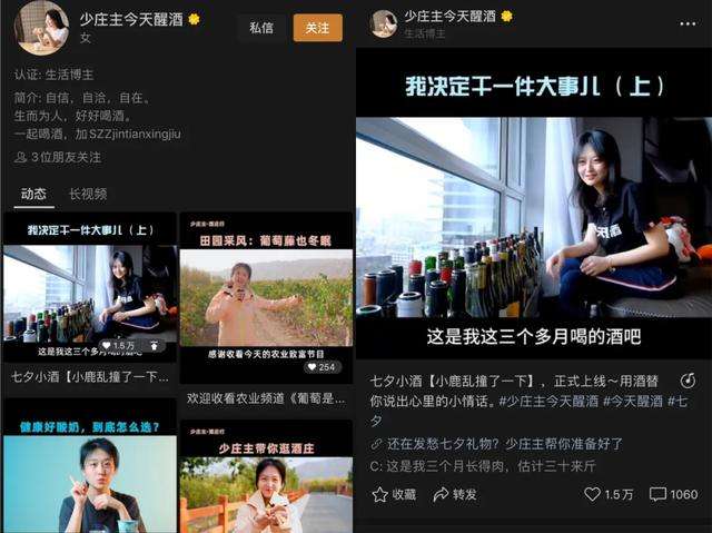 微信视频号涨粉丝1元1000个活粉（视频号涨粉丝1元1000个活粉下载）|大商梦的简单介绍