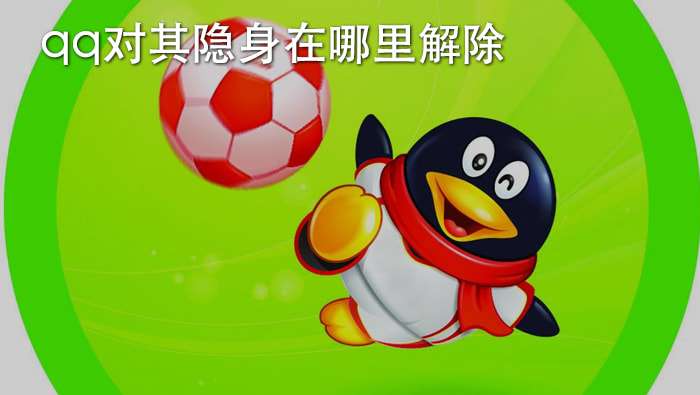 qq空间访客对其隐身什么意思_懂视的简单介绍