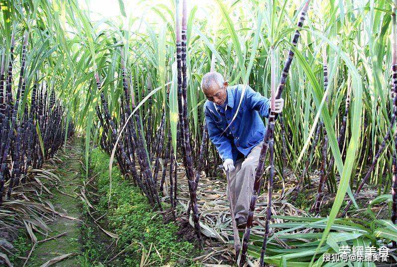 超市买甘蔗，自己削皮9毛9，人家削皮一块五毛八，还是自己动手吧,三农,农民生活,好看视频的简单介绍
