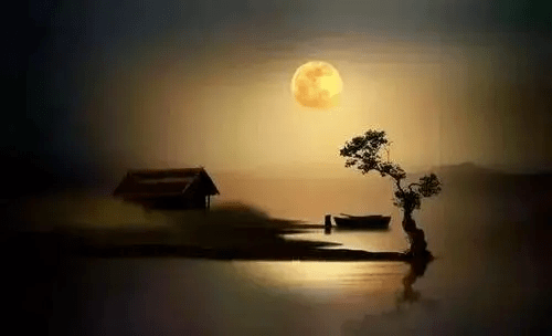 关于我本将心向明月，奈何明月照沟渠的信息