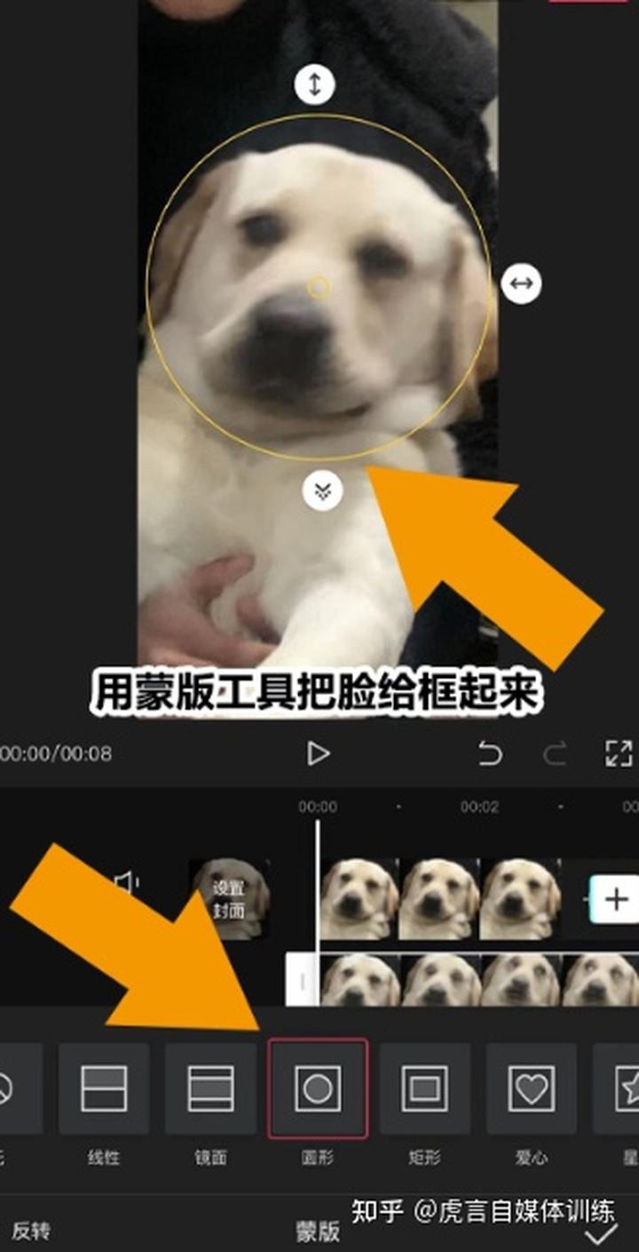 爆火不到7天下架，抖音、快手接棒“蚂蚁牙黑”刷屏特效制作声音免费在线播放-喜马拉雅手机版的简单介绍