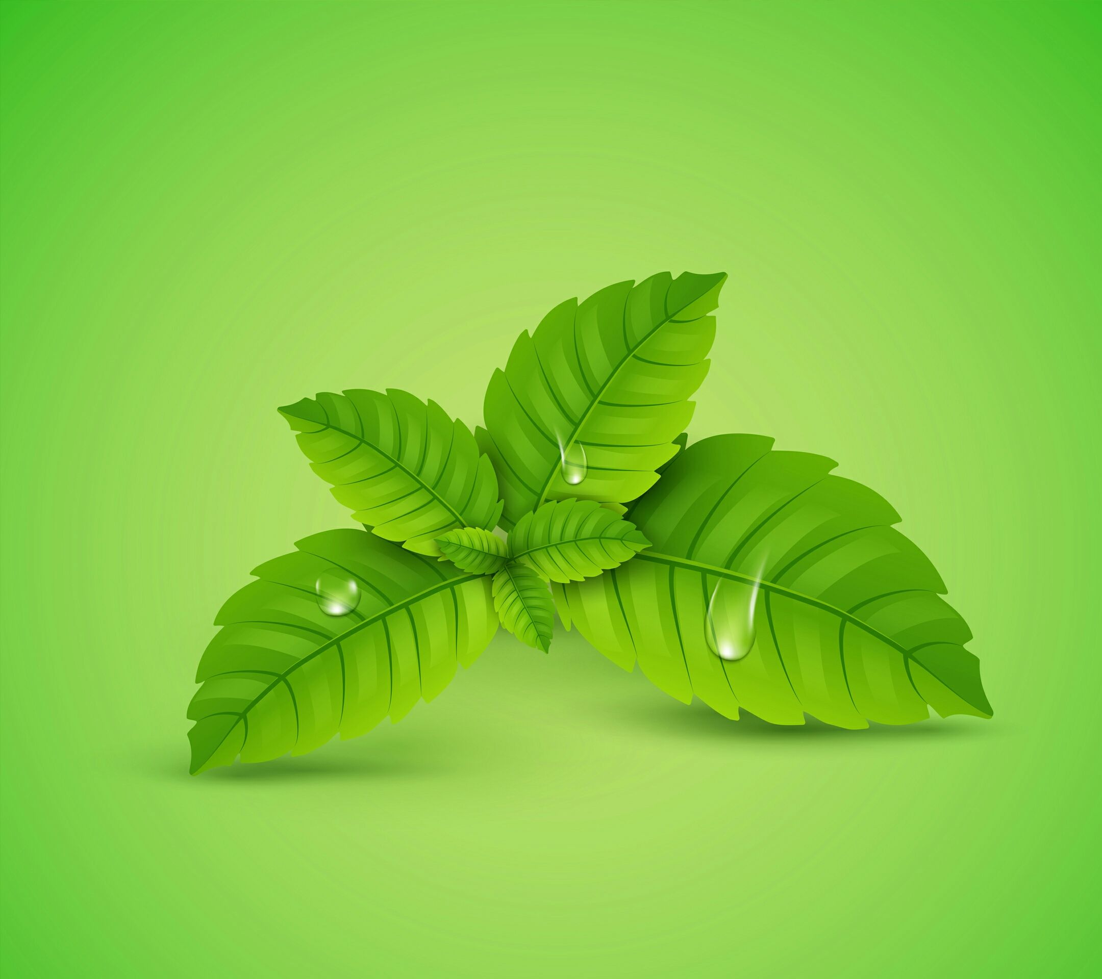 QQ空间说说赞辅助下载(qq空间赞工具)V1.02绿色免费版软件下载-绿色先锋下载-绿色软件下载站的简单介绍