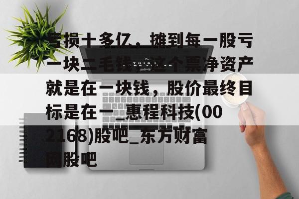 包含亏损十多亿，摊到每一股亏一块二毛钱，这个票净资产就是在一块钱，股价最终目标是在一_惠程科技(002168)股吧_东方财富网股吧的词条